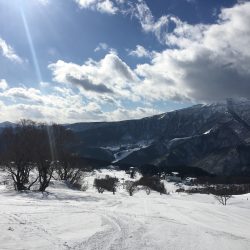 ハチ高原スキー場 　1月の様子！