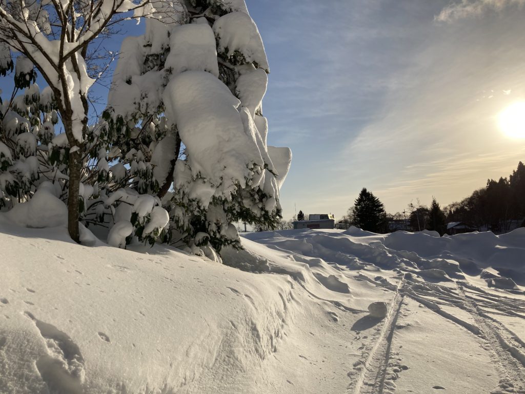 ハチ高原　スキー場　山開き　2020　オープン　積雪