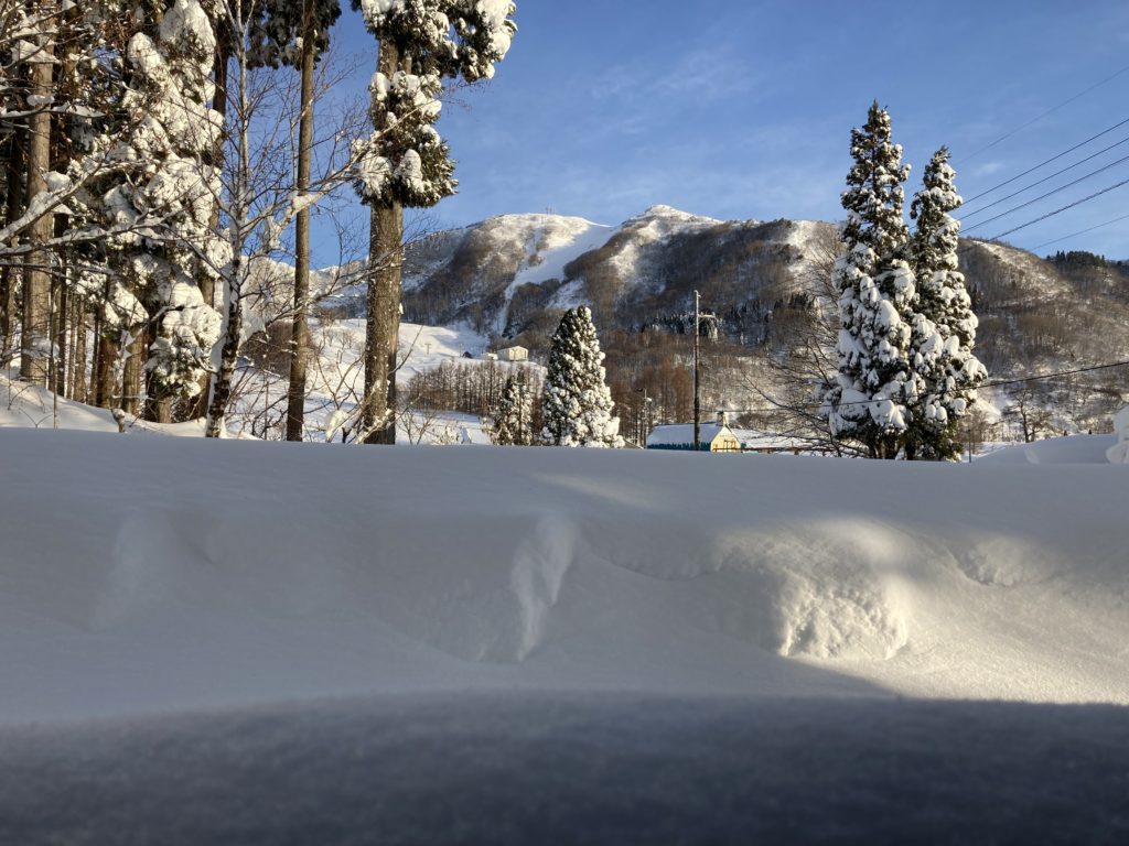 ハチ高原　スキー場　山開き　2020　オープン　積雪