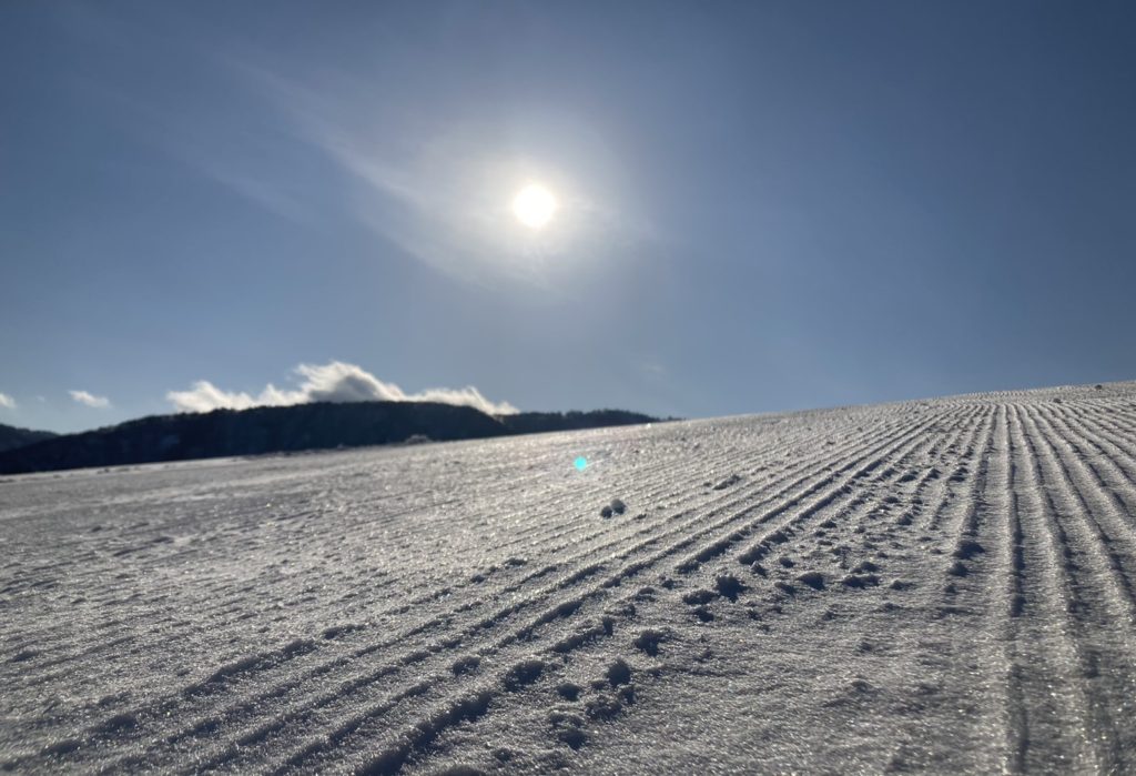 ハチ高原　スキー場　積雪　スキー　スノボ