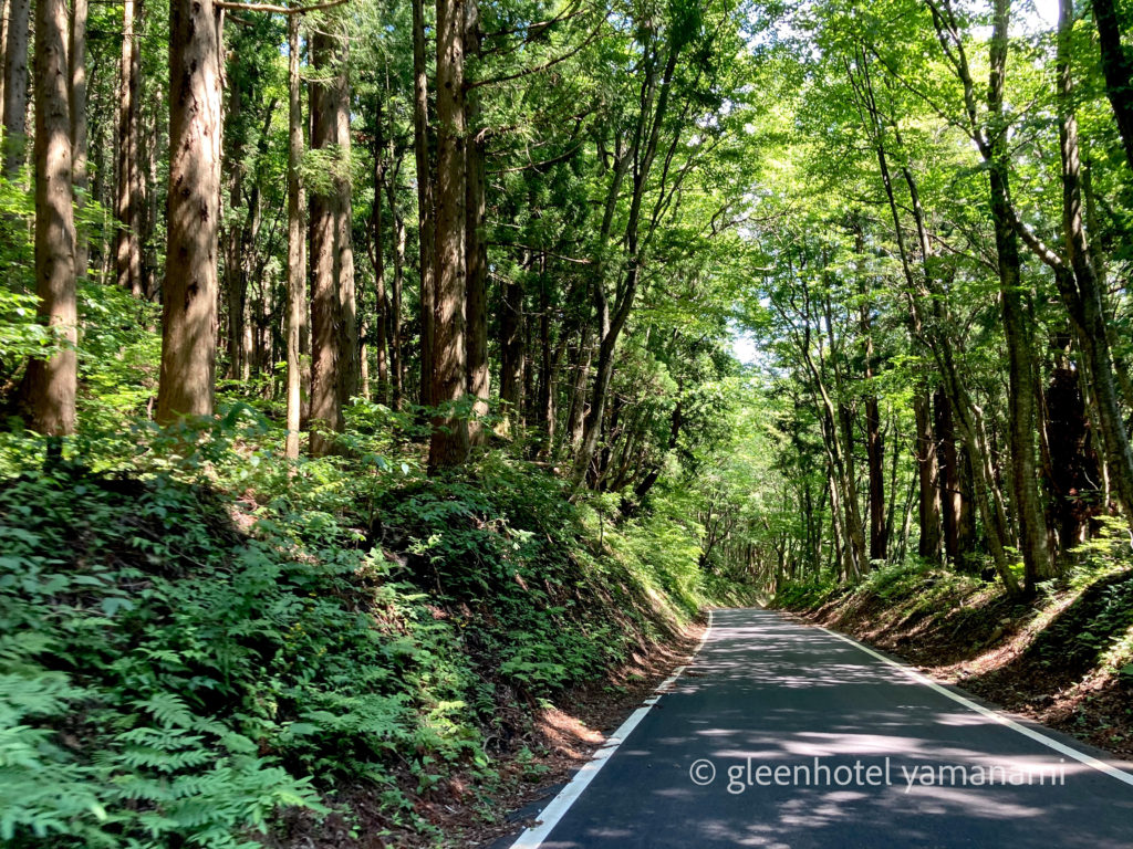 兵庫県　ハチ高原　避暑　夏休み　登山　ハイキング　BBQ　やまなみ　自然学校　林間学校　　
