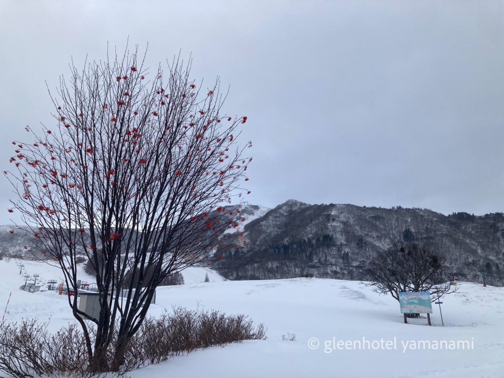 兵庫　スキー　スノボ　ハチ高原　山のレストランシーズ　リニューアル　オープン