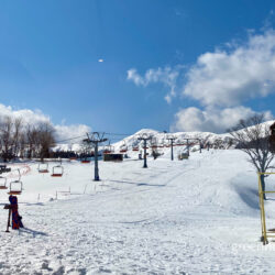 ハチ高原スキー場および「山のレストランC’s」今シーズンの営業予定について