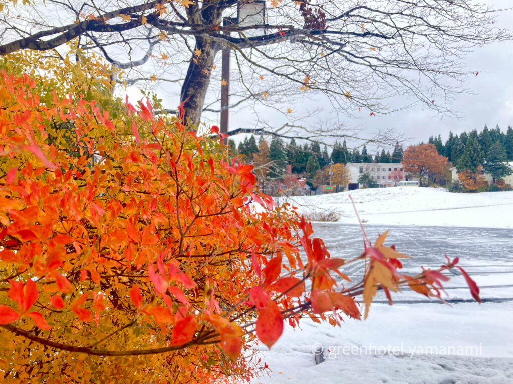 ハチ高原 スキー場 スキー スノボ 宿泊 ホテル やまなみ グリーンホテルやまなみ レストラン シーズ ピザ PIZZA 窯焼き ハチ高原 スキー場 スキー スノボ 宿泊 ホテル やまなみ グリーンホテルやまなみ レストラン シーズ ピザ PIZZA 窯焼き