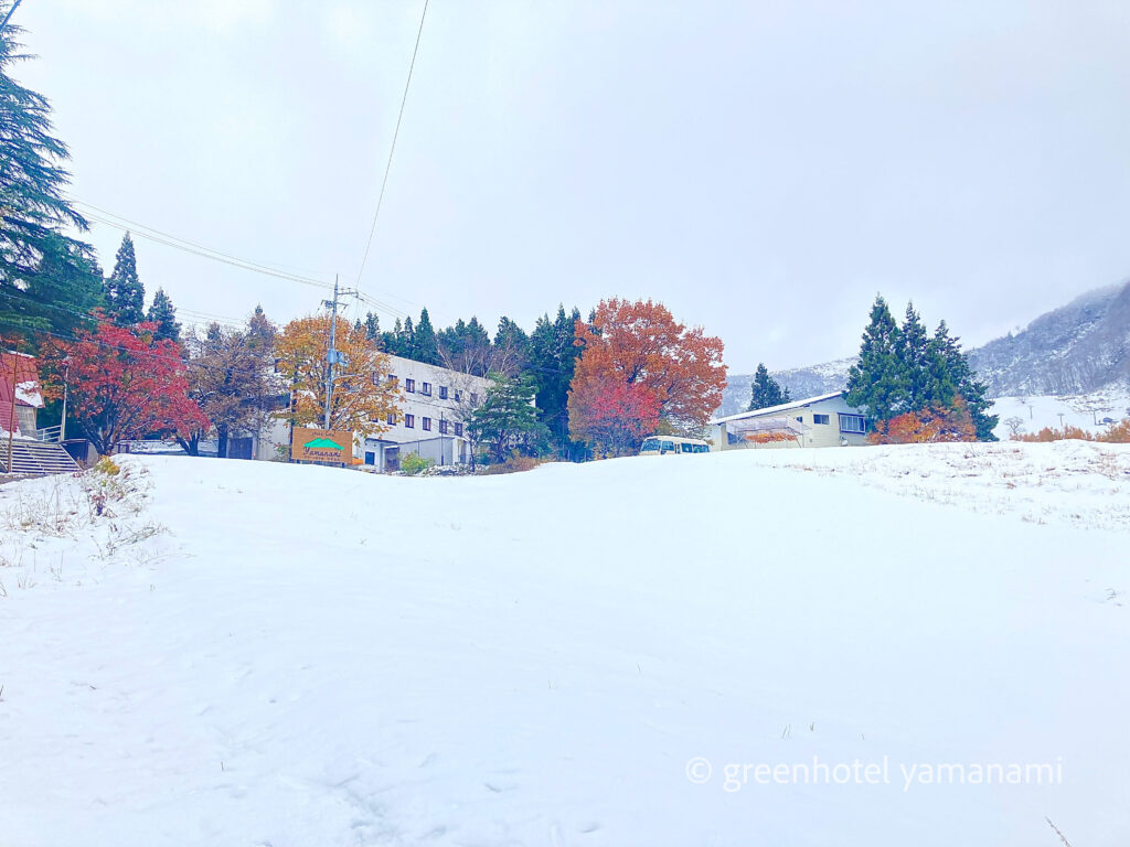 ハチ高原 スキー場 スキー スノボ 宿泊 ホテル やまなみ グリーンホテルやまなみ レストラン シーズ ピザ PIZZA 窯焼き ハチ高原 スキー場 スキー スノボ 宿泊 ホテル やまなみ グリーンホテルやまなみ レストラン シーズ ピザ PIZZA 窯焼き