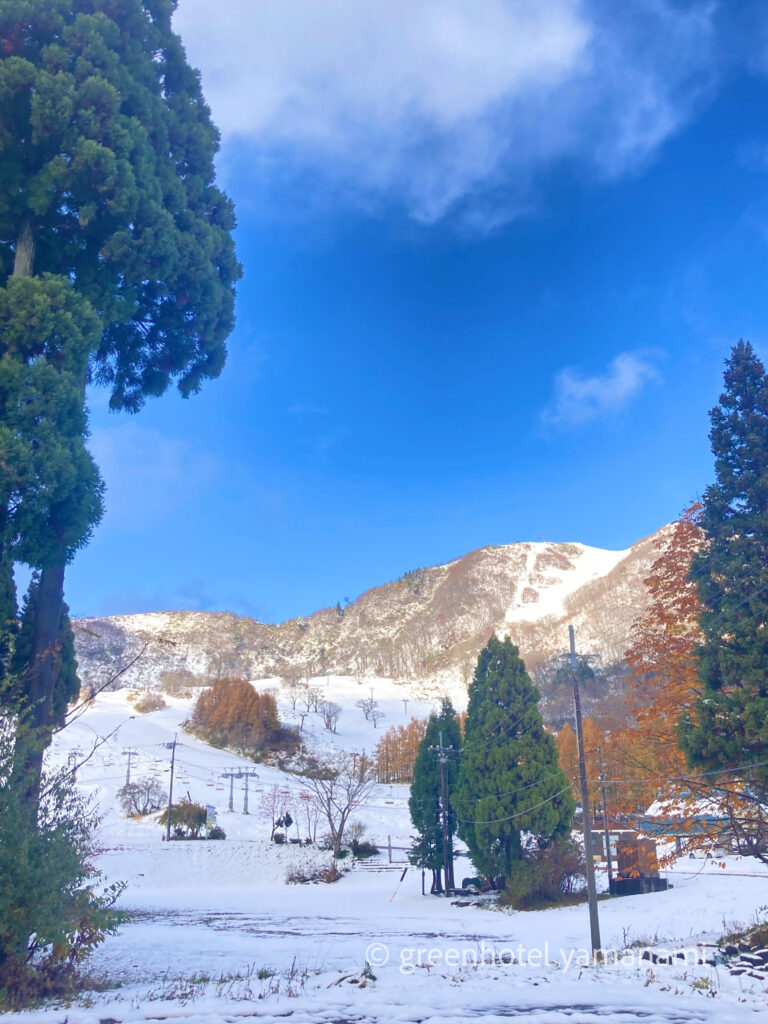 ハチ高原 スキー場 スキー スノボ 宿泊 ホテル やまなみ グリーンホテルやまなみ レストラン シーズ ピザ PIZZA 窯焼き ハチ高原 スキー場 スキー スノボ 宿泊 ホテル やまなみ グリーンホテルやまなみ レストラン シーズ ピザ PIZZA 窯焼き